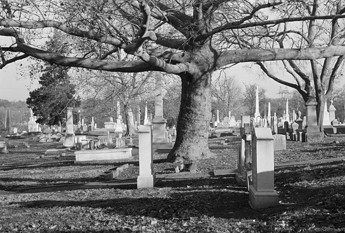  Laurel Hill Cemetery - November 19, 2005