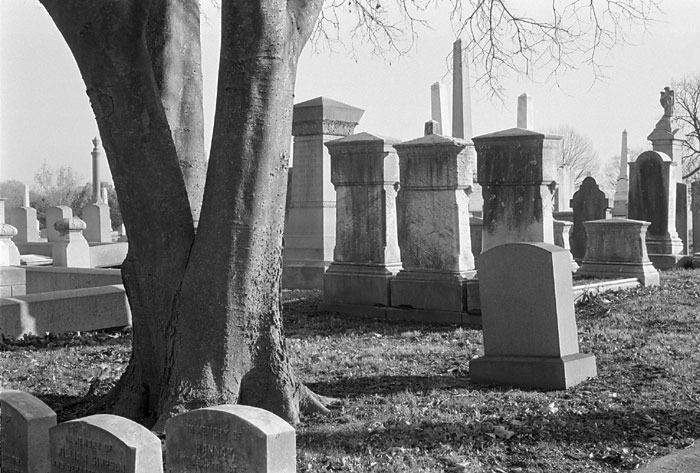  Laurel Hill Cemetery - November 19, 2005