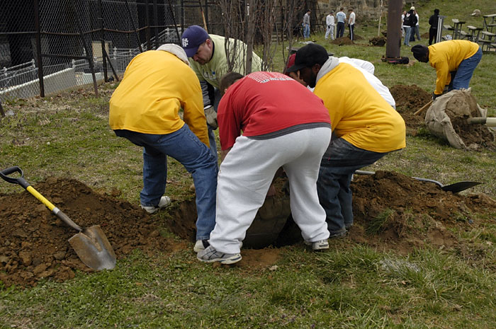 UC Green Tree Planting - March 25, 2006