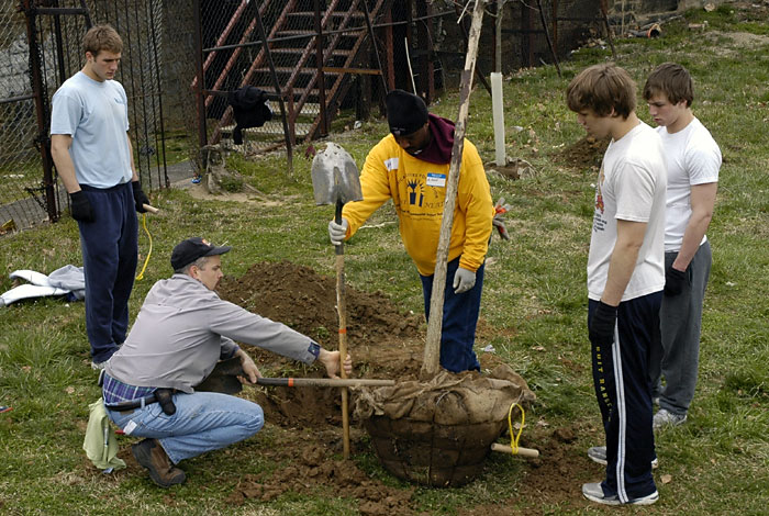 UC Green Tree Planting - March 25, 2006