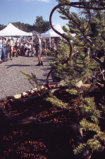 Conifer Society, Denver 2003; Jerry Morris Greenhouse [310-04.jpg]