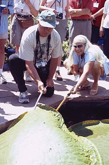 Conifer Society, Denver 2003; Nancy Styler Garden [311-11.jpg]