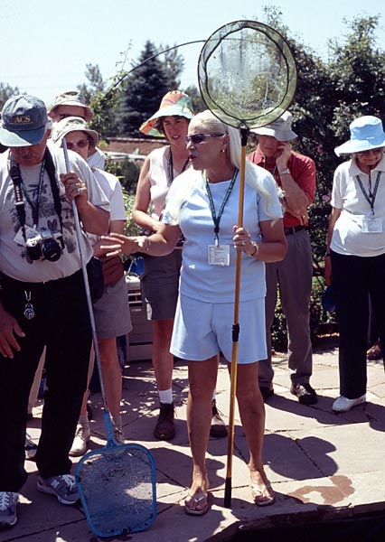 Conifer Society, Denver 2003; Nancy Styler Garden [311-14.jpg]