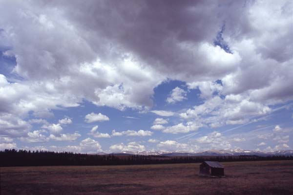 Conifer Society, Denver 2003; Platte River Ranch [312-27.jpg]