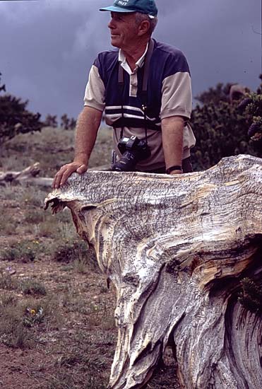 Conifer Society, Denver 2003; Windy Ridge [314-24.jpg]