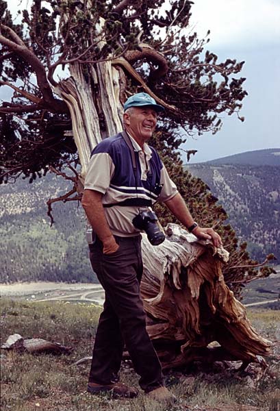 Conifer Society, Denver 2003; Windy Ridge [314-28.jpg]