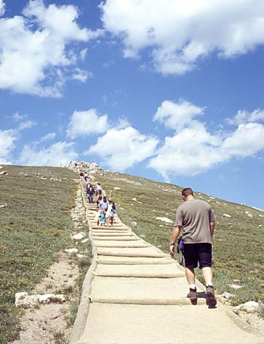 Conifer Society, Denver 2003; Rocky Mountain National Park [319-07.jpg]