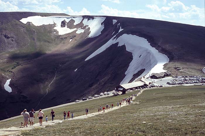 Conifer Society, Denver 2003; Rocky Mountain National Park [319-12.jpg]