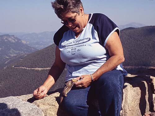 Conifer Society, Denver 2003; Rocky Mountain National Park [319-22.jpg]