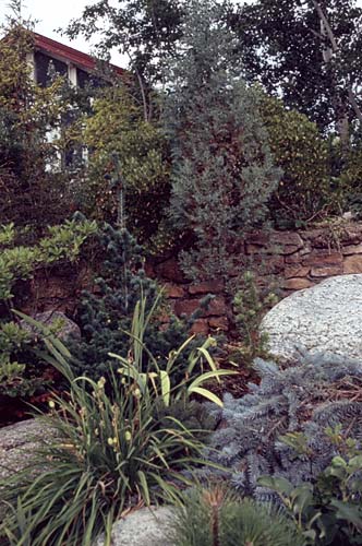 Conifer Society, Denver 2003; Allan Taylor Garden [321-29.jpg]